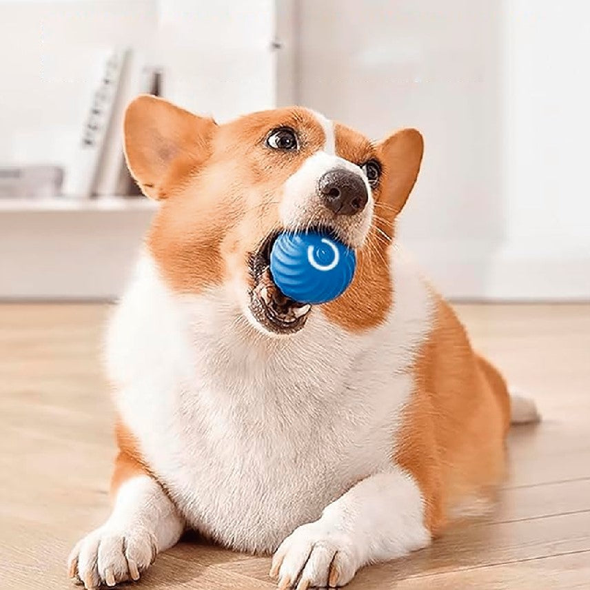 NUEVA PELOTA DE JUGUETE INTELIGENTE PARA MASCOTAS