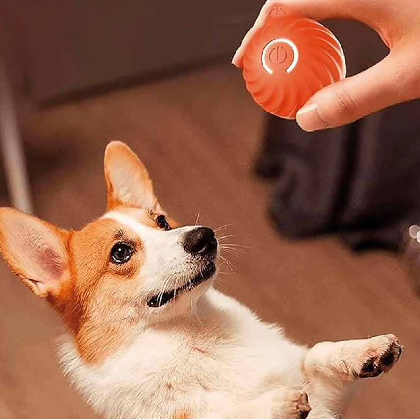 NUEVA PELOTA DE JUGUETE INTELIGENTE PARA MASCOTAS