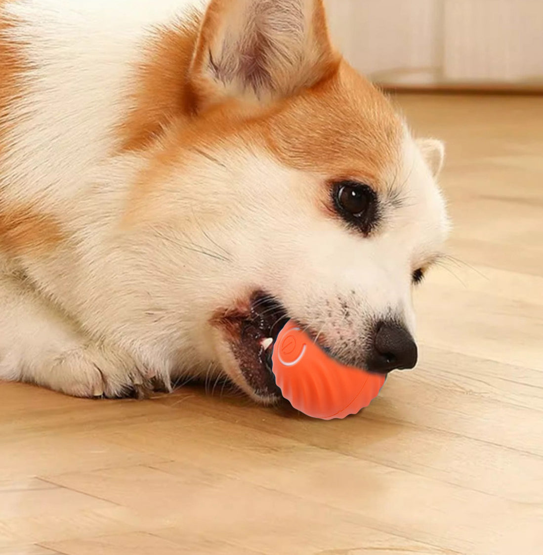 NUEVA PELOTA DE JUGUETE INTELIGENTE PARA MASCOTAS